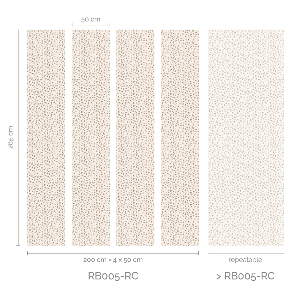 RB005-RC_Lanes